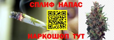 молекула духа Краснознаменск