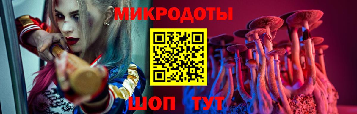 Псилоцибиновые грибы мухоморы  Вход с VPN  Чистополь  Псилоцибиновые грибы GOLDEN TEACHER 