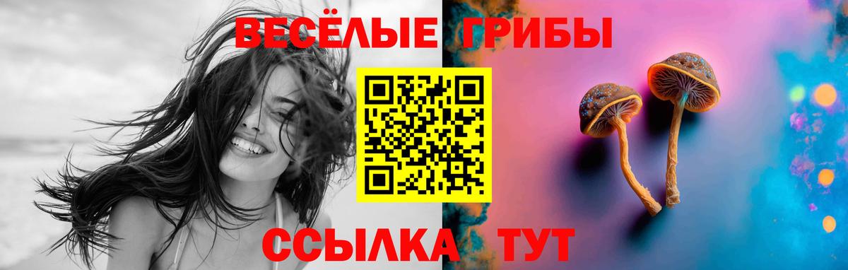 Псилоцибиновые грибы ЛСД Чистополь